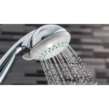 Silver Shower Head